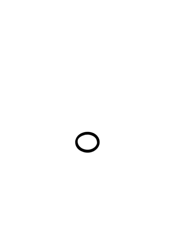 O-ring for oil fittings (8M0188343)